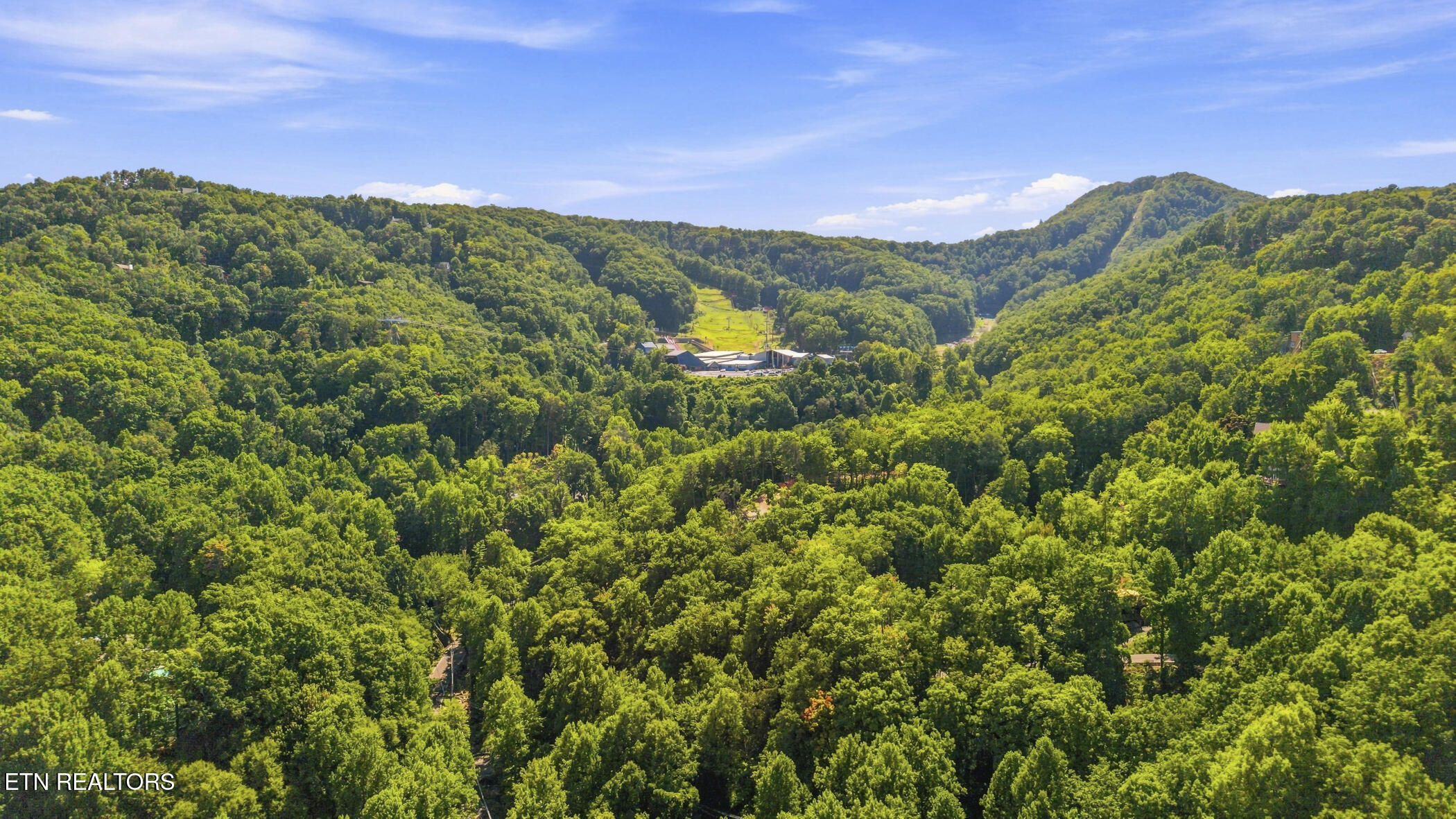 1155 Upper Alpine Way Gatlinburg TN 37738