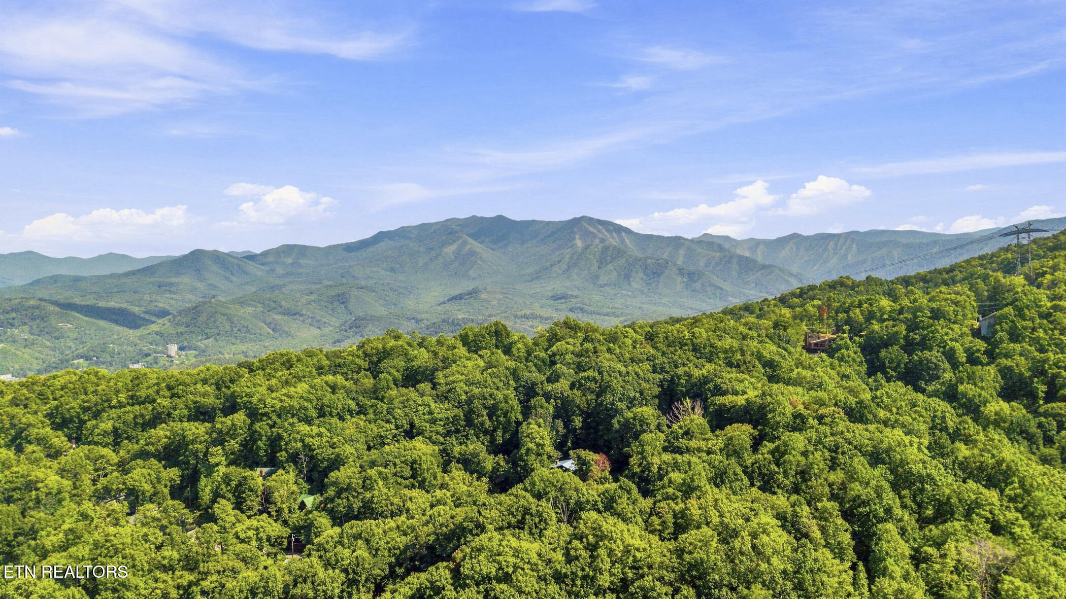1155 Upper Alpine Way Gatlinburg TN 37738