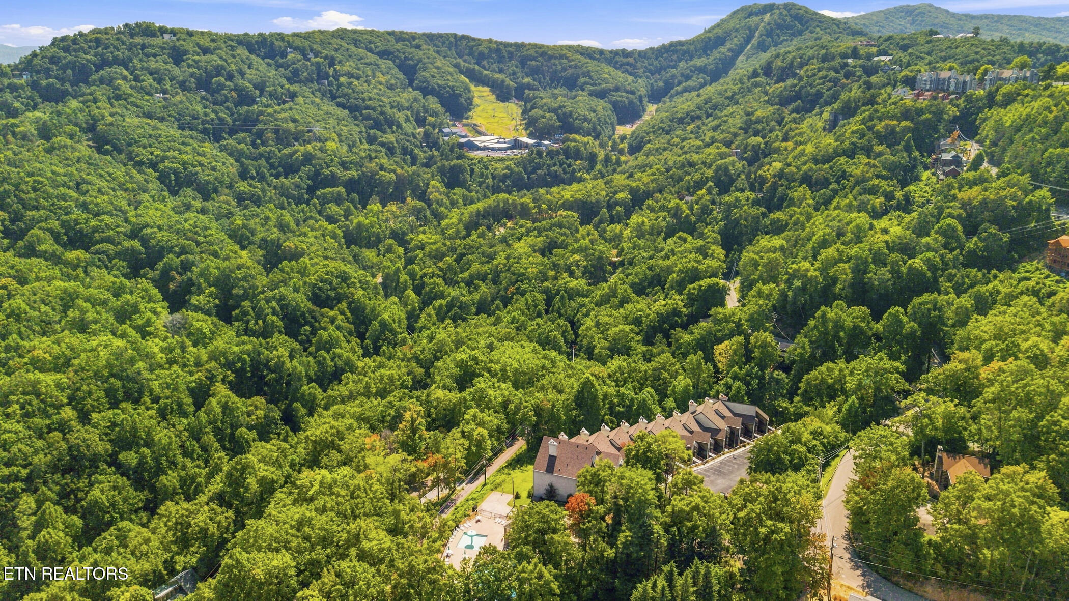 1155 Upper Alpine Way Gatlinburg TN 37738