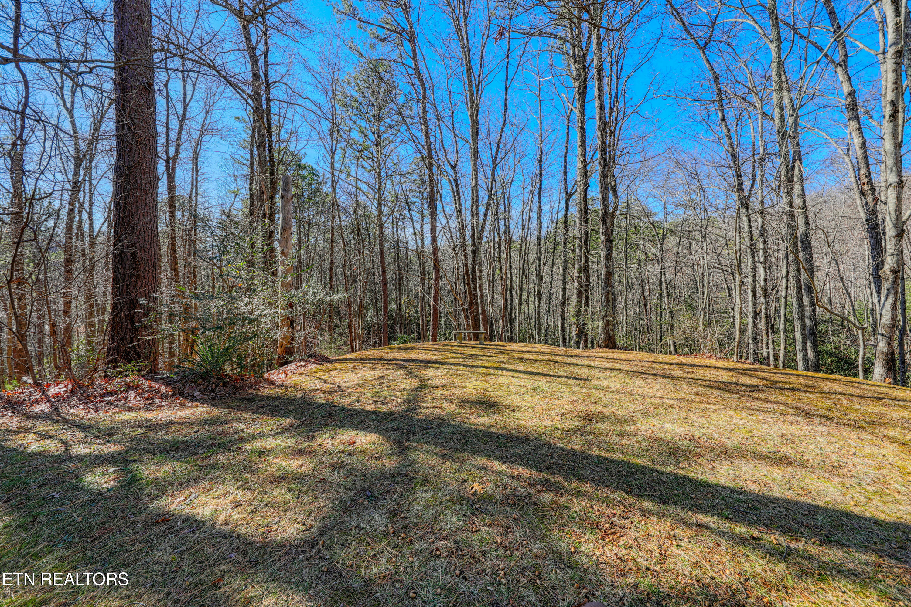1081 Cove Road Sevierville TN 37876