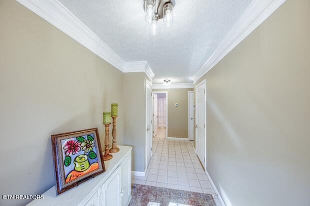 433 Creekview Lane Knoxville TN 37923