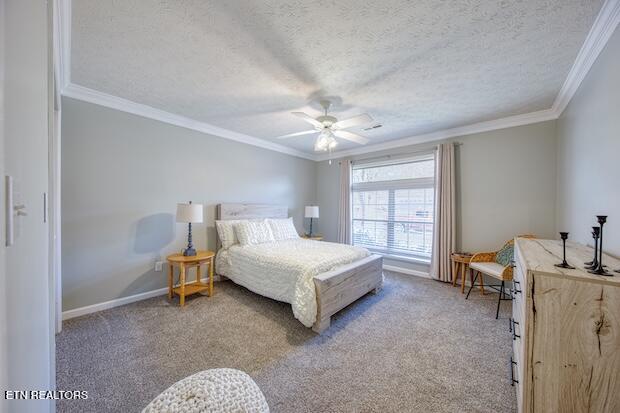 433 Creekview Lane Knoxville TN 37923