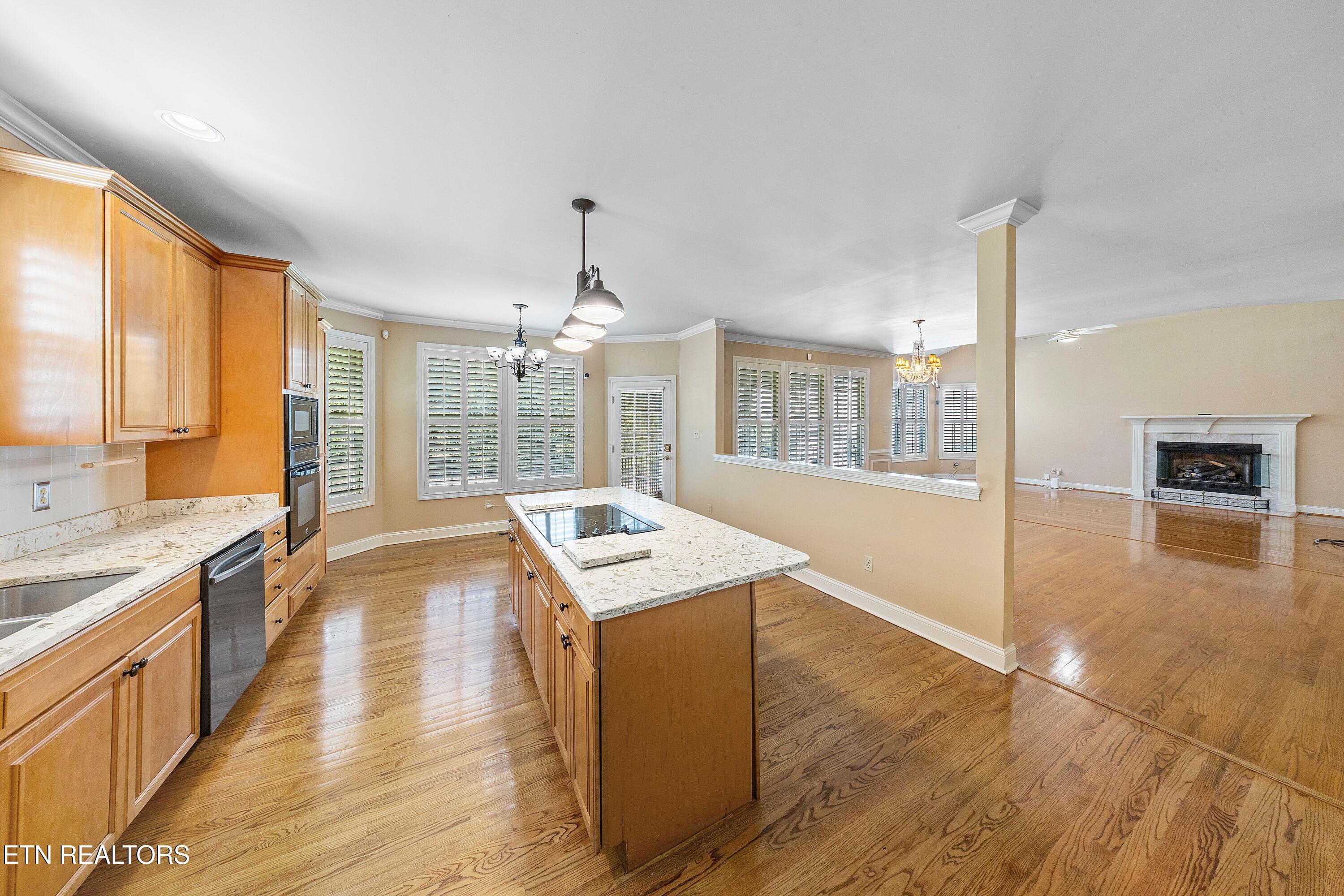 1110 Spy Glass Way Knoxville TN 37922