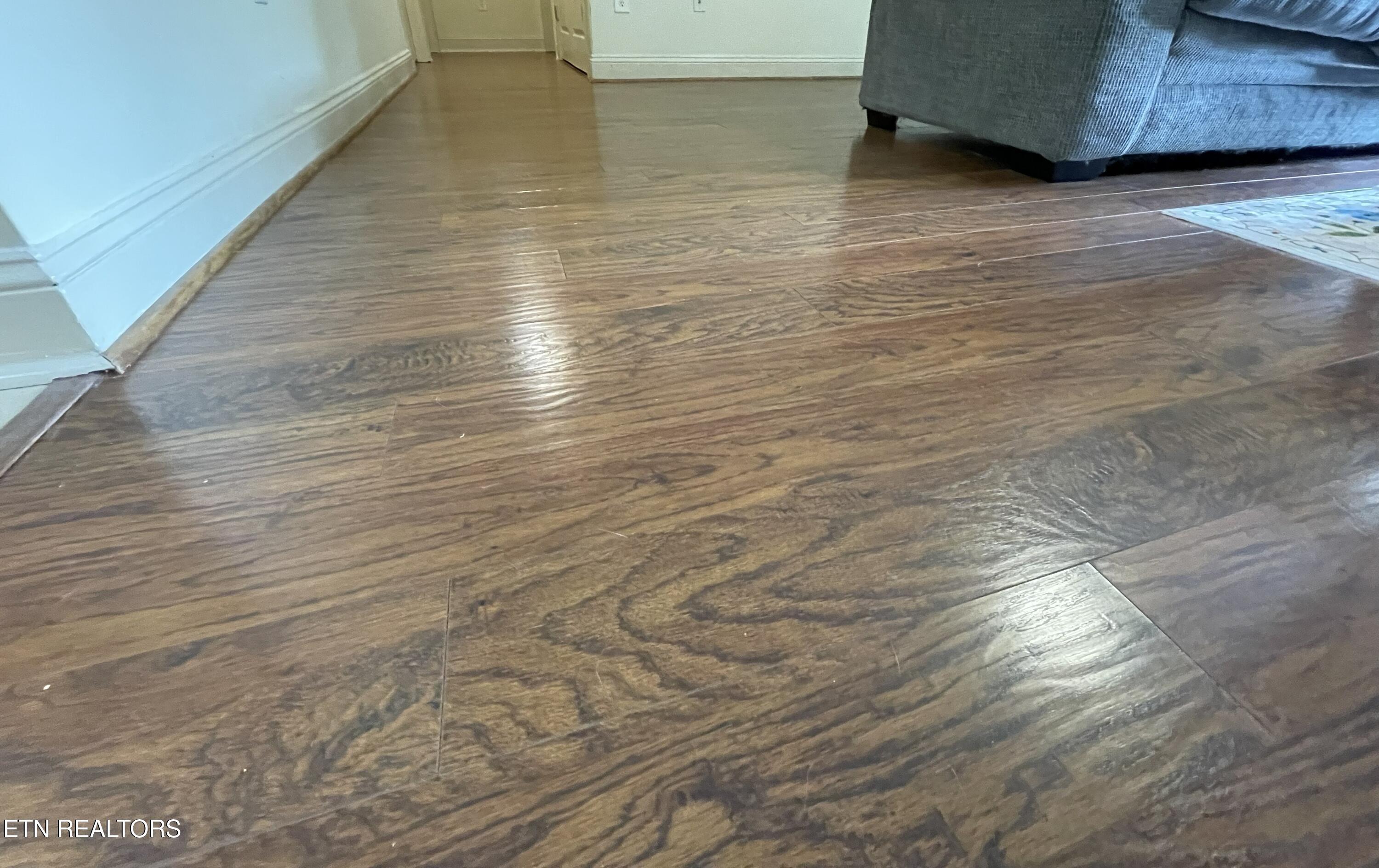 3831 Cherokee Woods Way 102 Knoxville TN 37920
