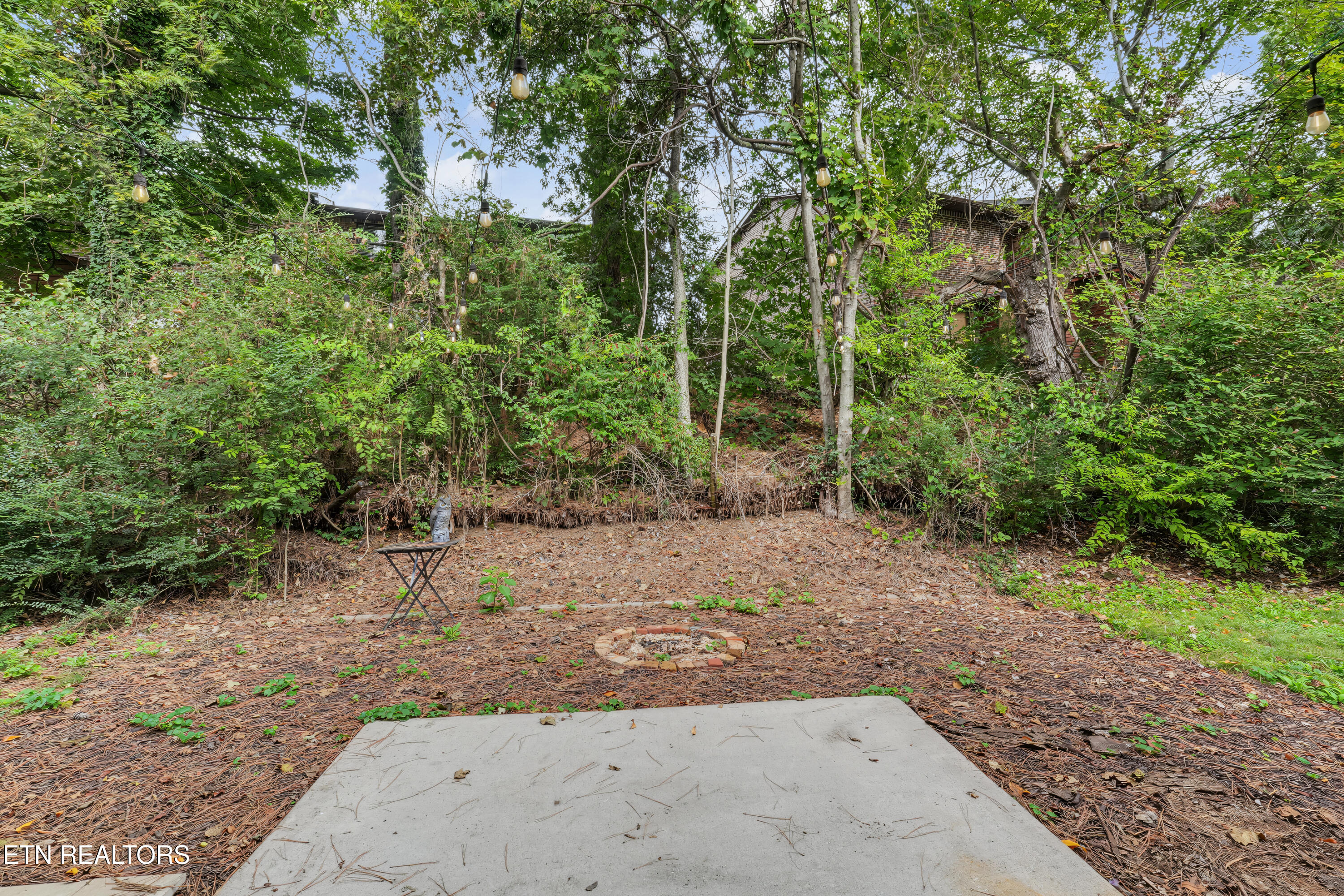 827 Blue Spruce Way Knoxville TN 37912