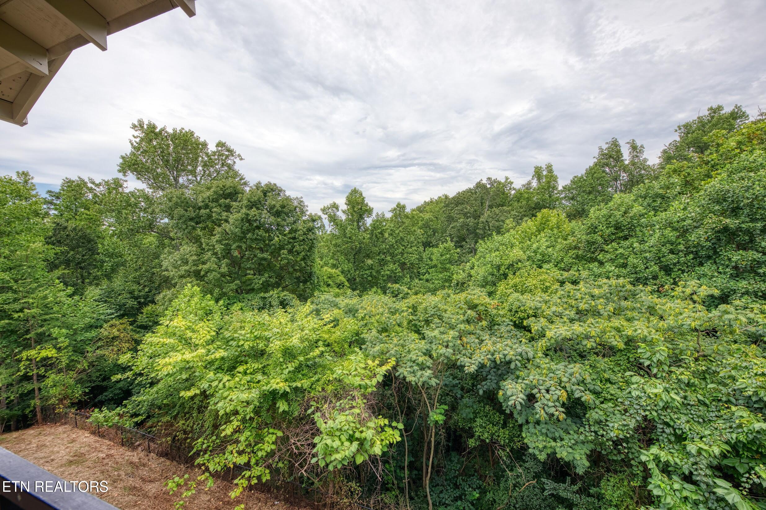 3720 Spruce Ridge Way Knoxville TN 37920