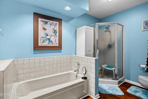 217 Villa Drive Seymour TN 37865