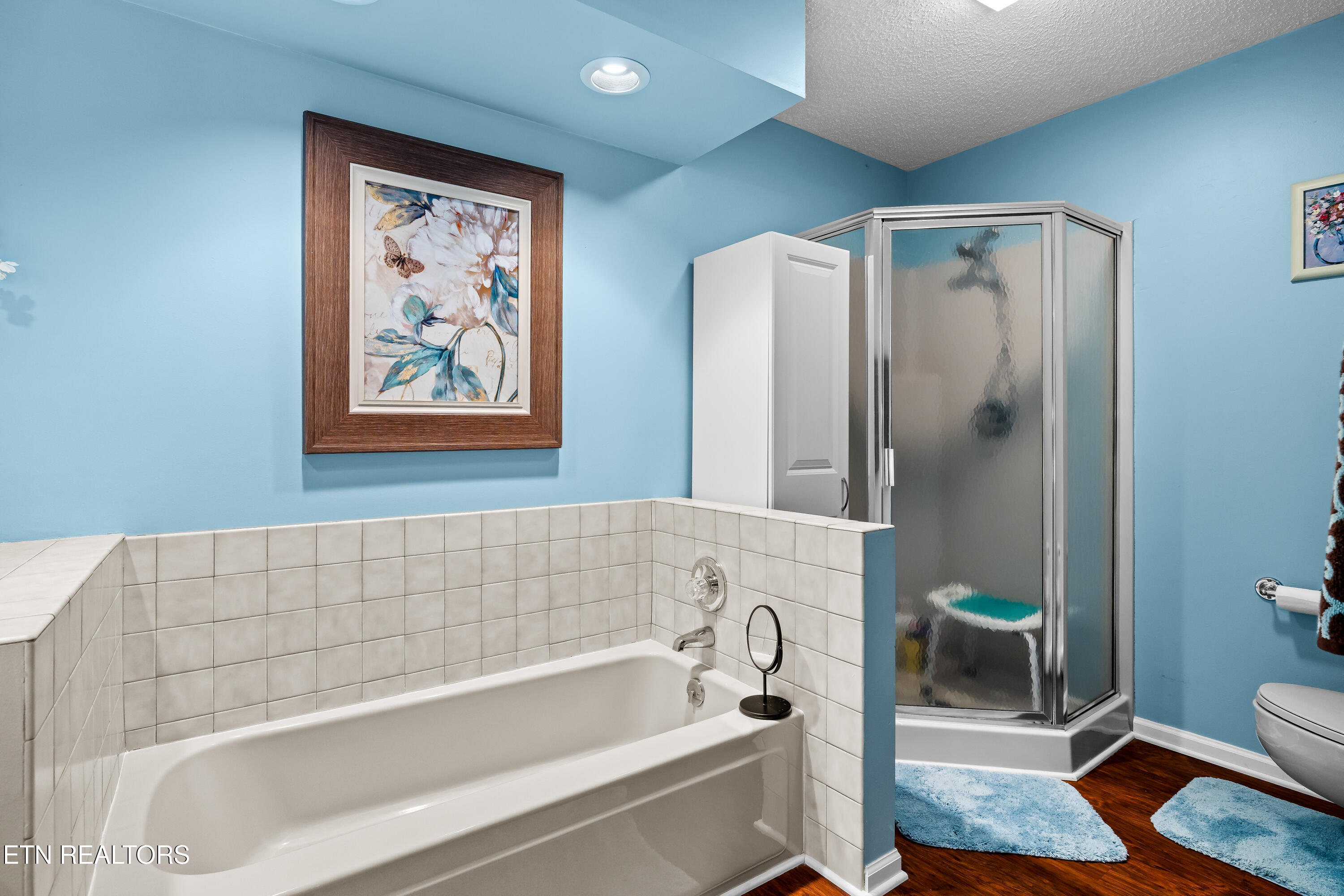 217 Villa Drive Seymour TN 37865