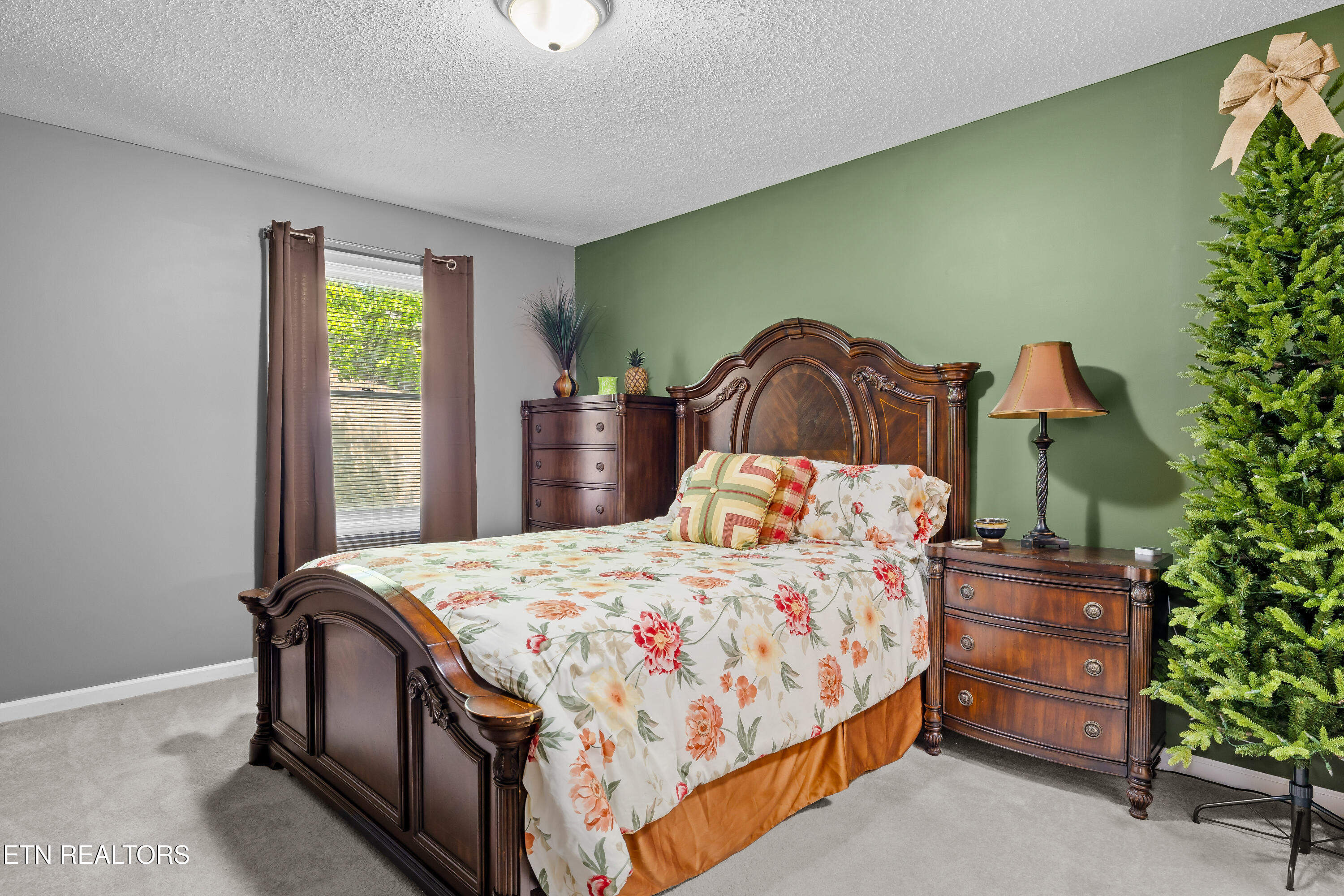 217 Villa Drive Seymour TN 37865