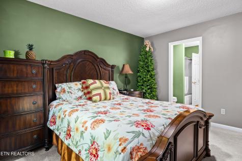 217 Villa Drive Seymour TN 37865