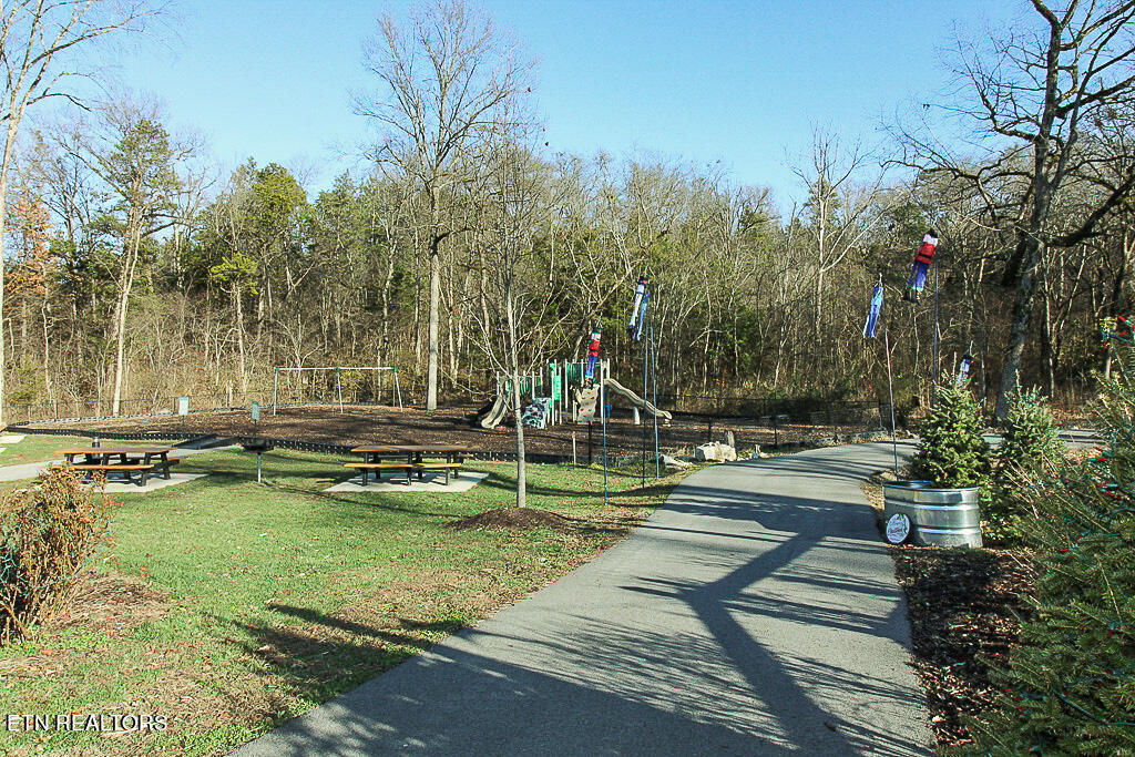 225 Collier Drive U-2402 Drive Sevierville TN 37862