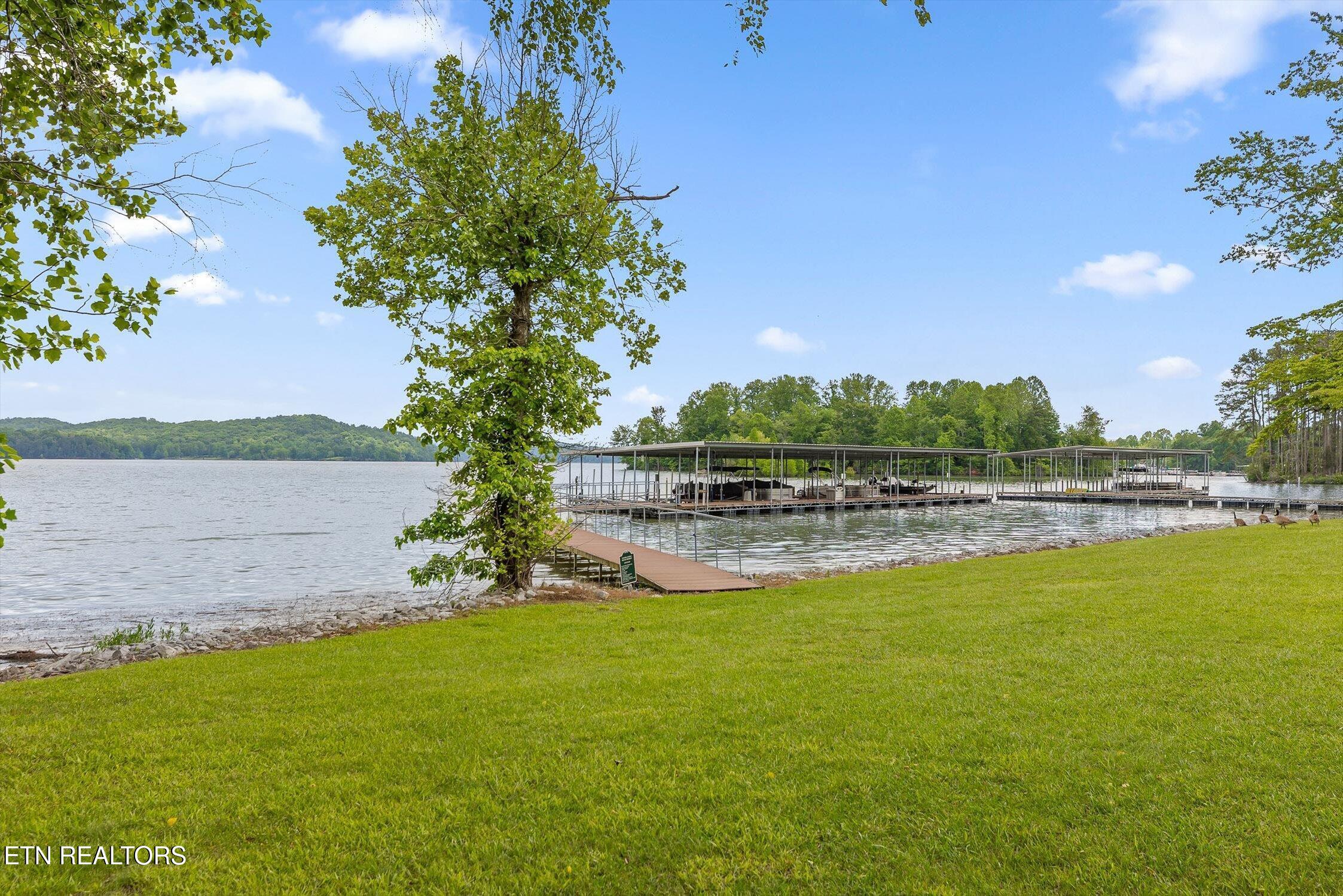 1255 New Lake Road Spring City TN 37381