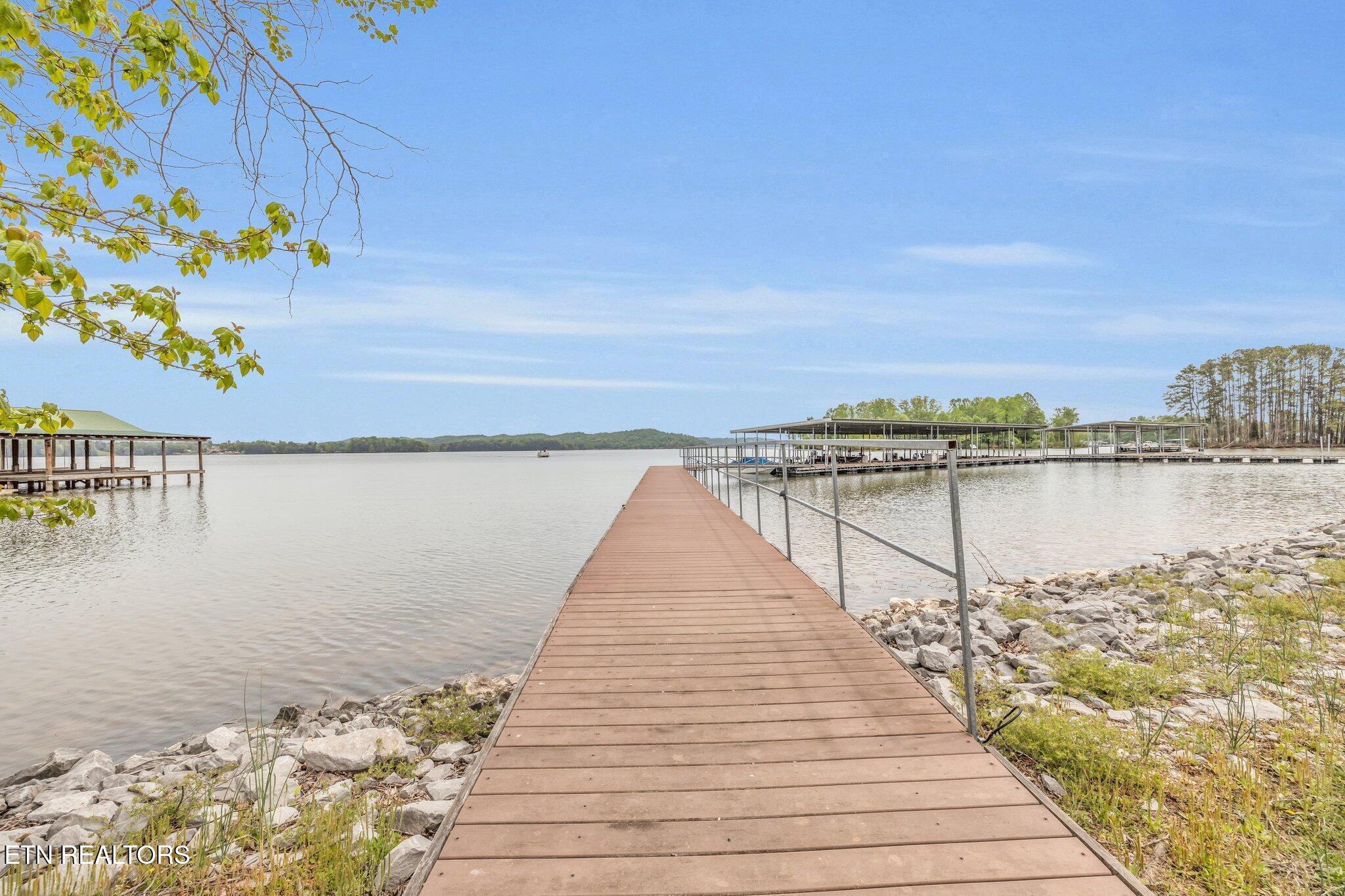 1255 New Lake Road Spring City TN 37381