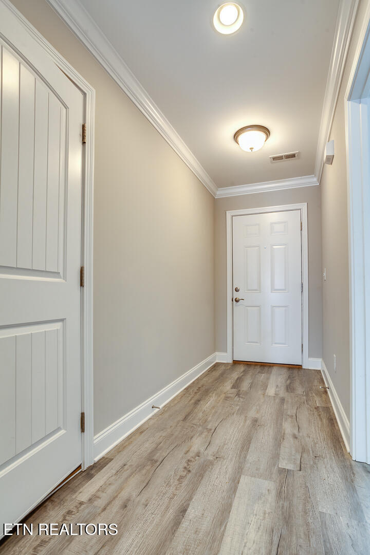 1336 Hazelgreen Way Knoxville TN 37912