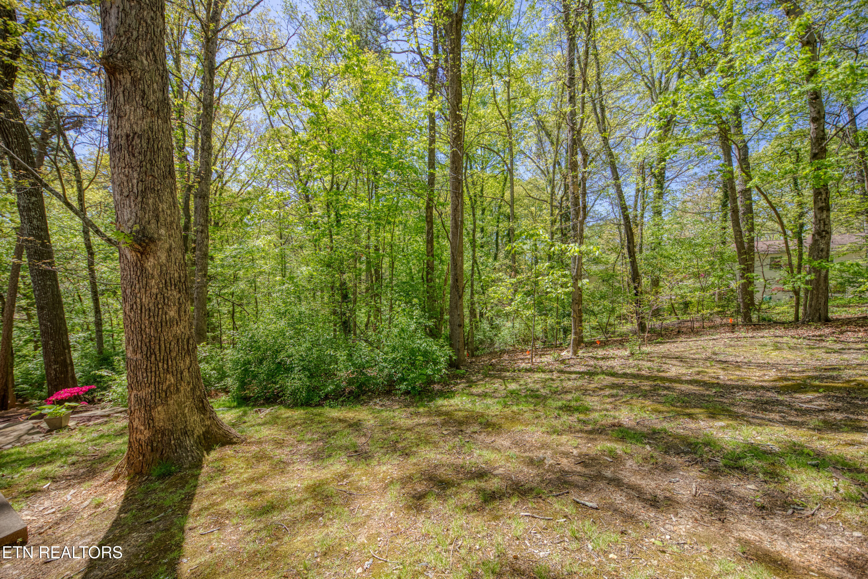1005 Glennshire Drive Knoxville TN 37923