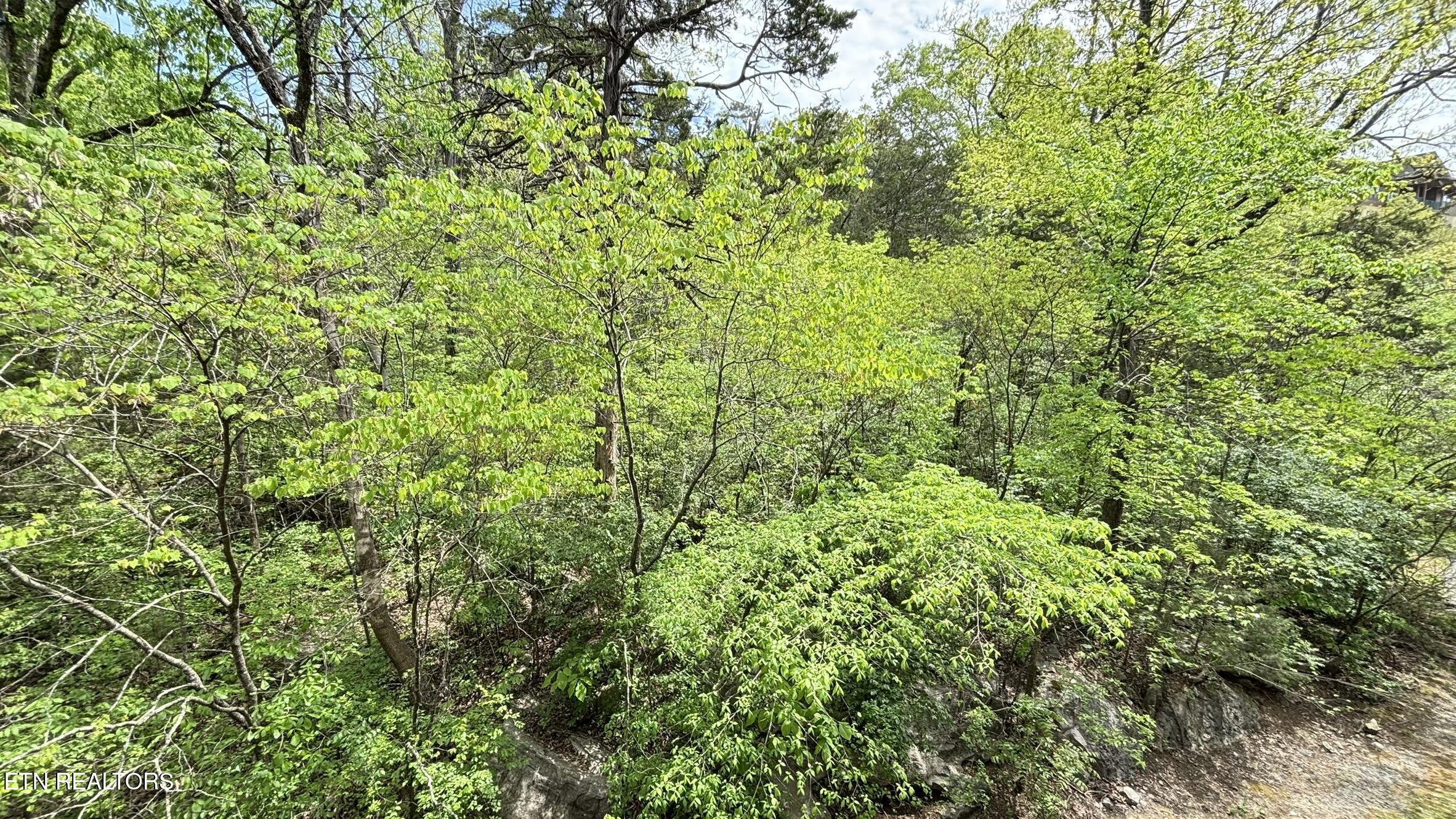 225 Collier Drive Sevierville TN 37862