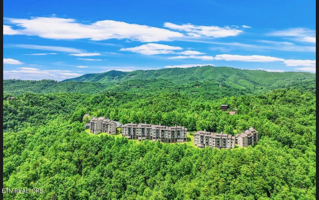 3710 Weber Road Gatlinburg TN 37738
