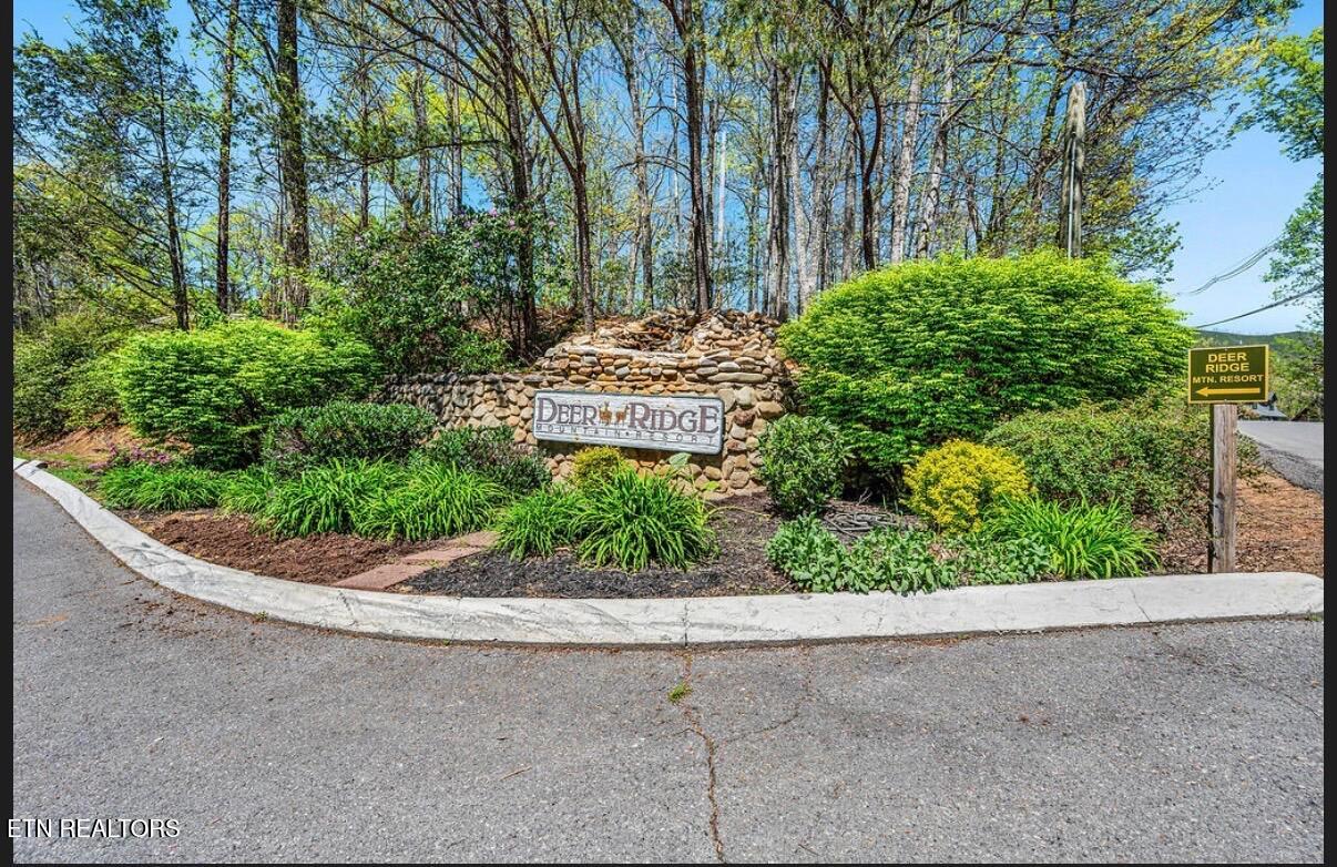 3710 Weber Road Gatlinburg TN 37738