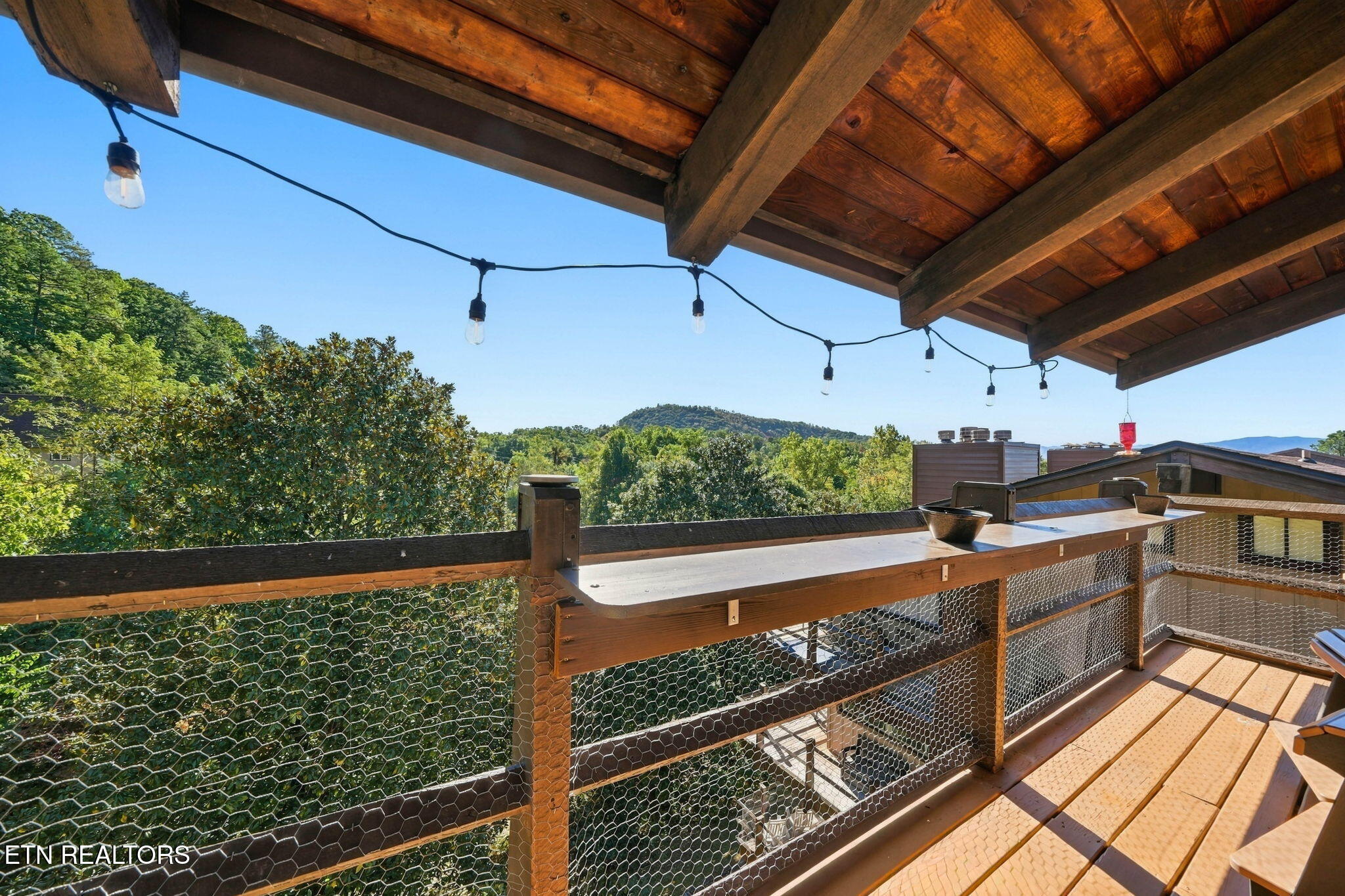 1081 Cove Road Sevierville TN 37876