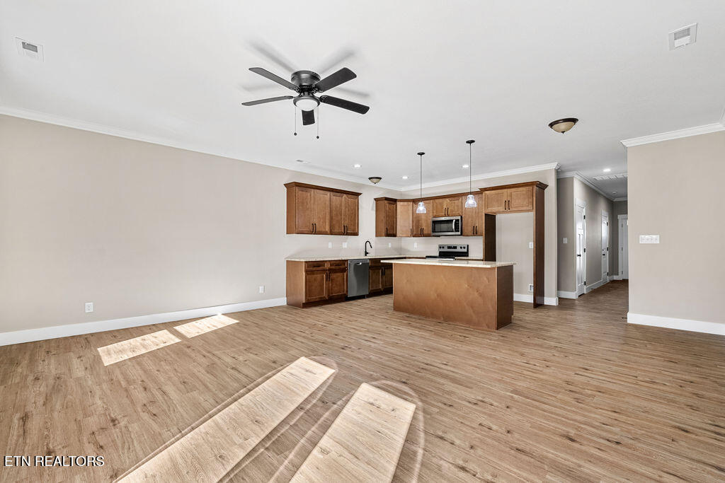 719 Haig Street Maryville TN 37801