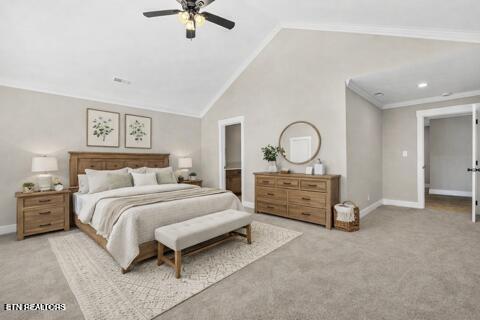 719 Haig Street Maryville TN 37801