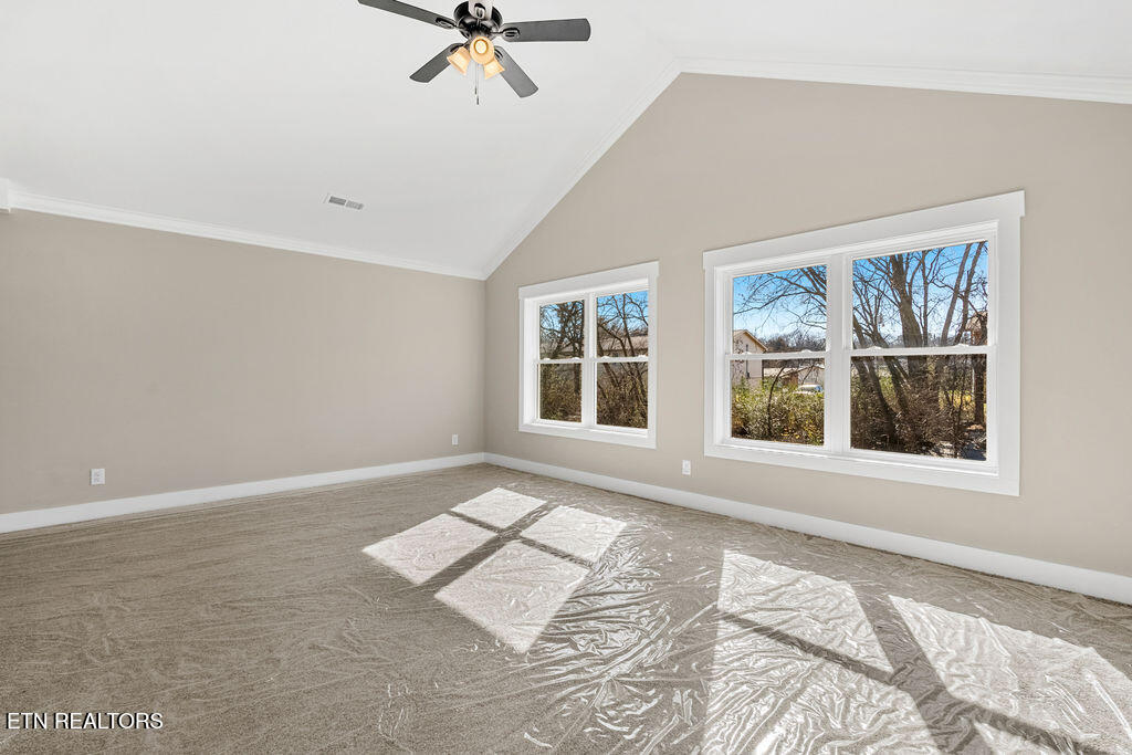 719 Haig Street Maryville TN 37801