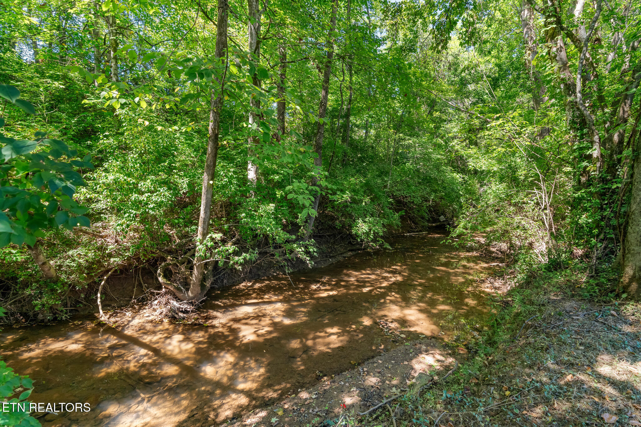 7456 Creek Song Court Knoxville TN 37920
