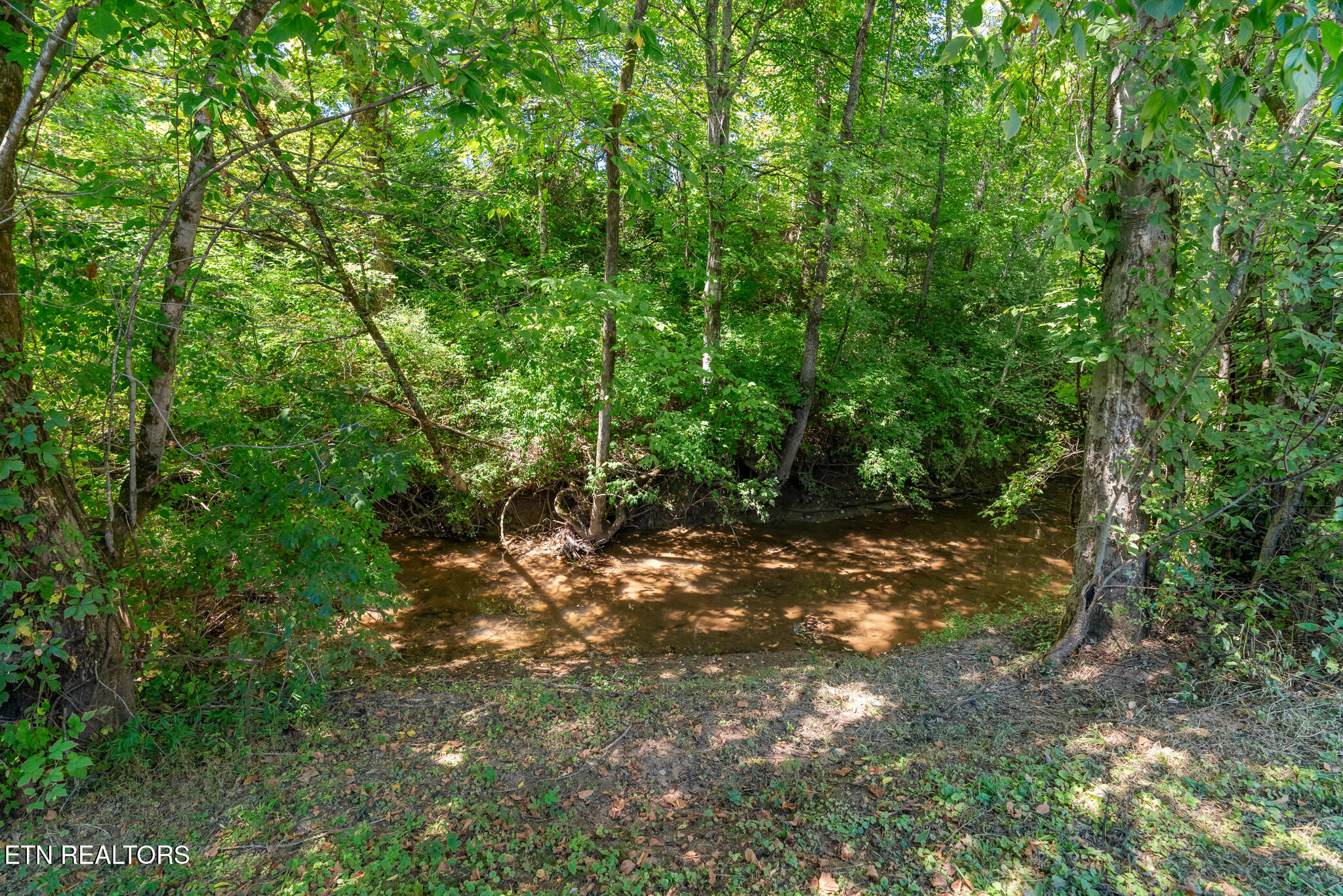 7456 Creek Song Court Knoxville TN 37920