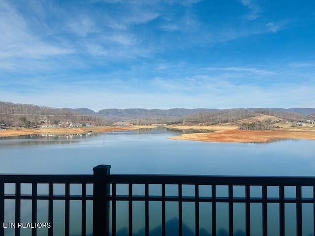 432 Sandpiper Lane Bean Station TN 37708