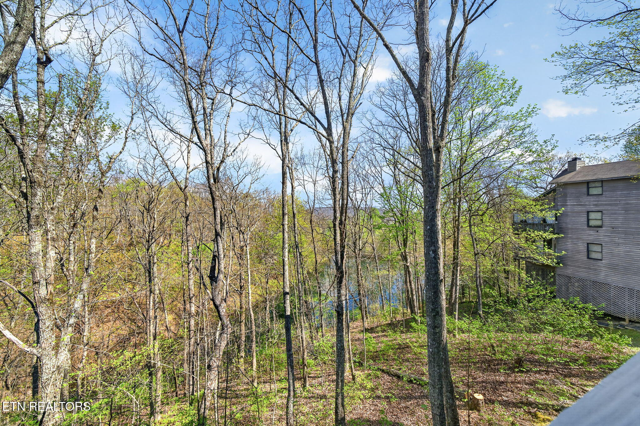 145 Moytoy Road Crab Orchard TN 37723