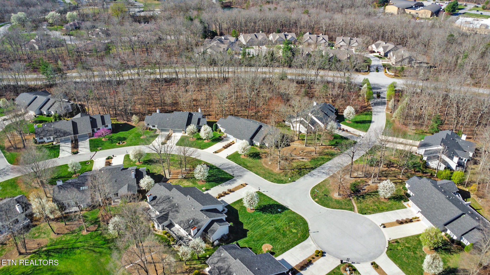 3 Augustine Lane Fairfield Glade TN 38558