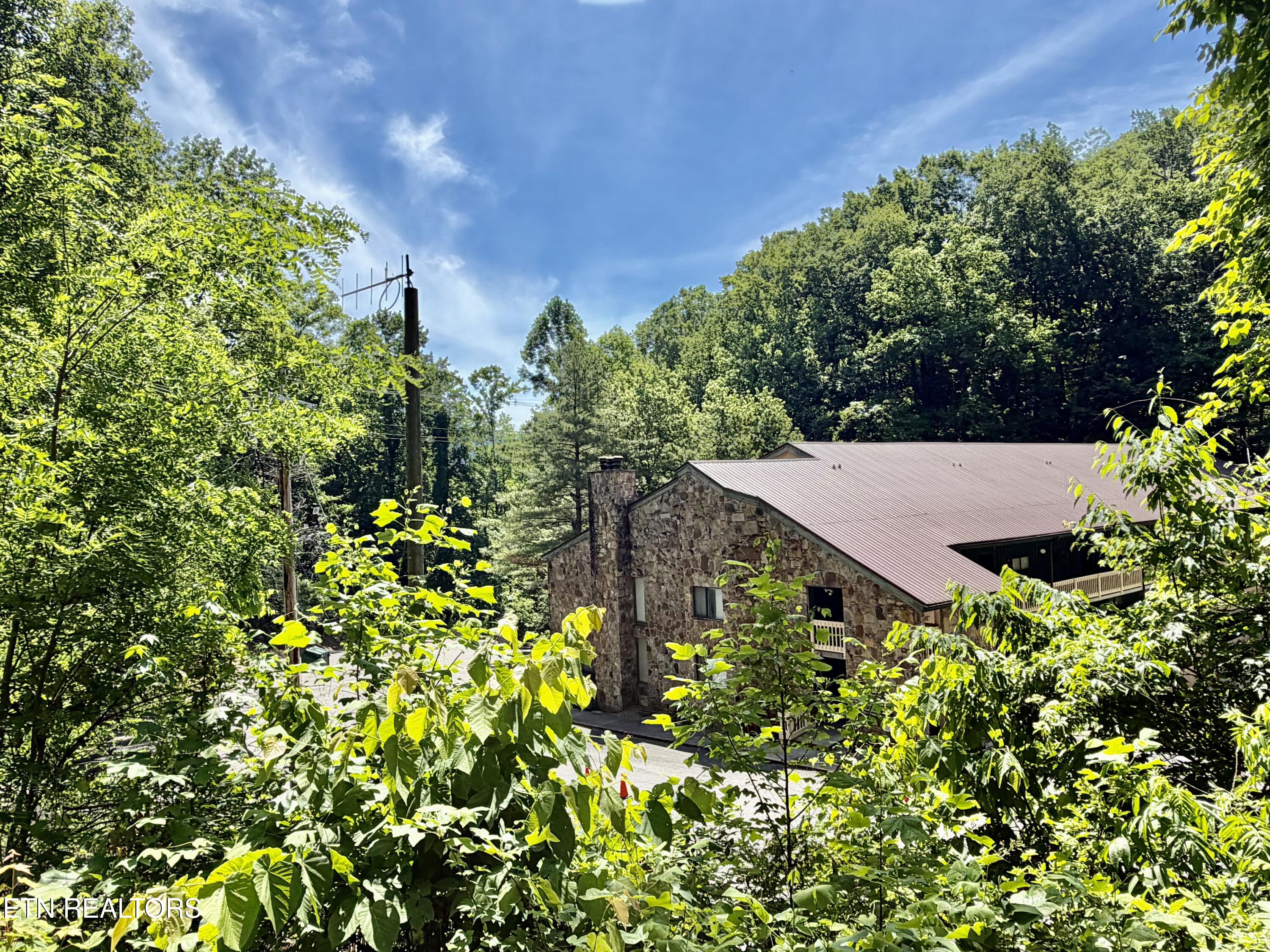 1435 Wiley Oakley Drive Gatlinburg TN 37738