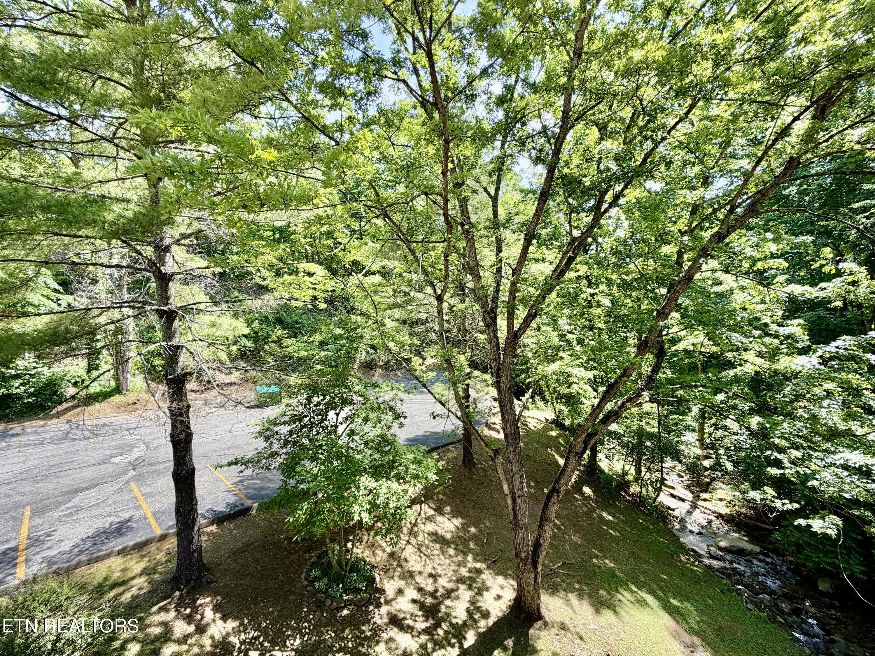 1435 Wiley Oakley Drive Gatlinburg TN 37738