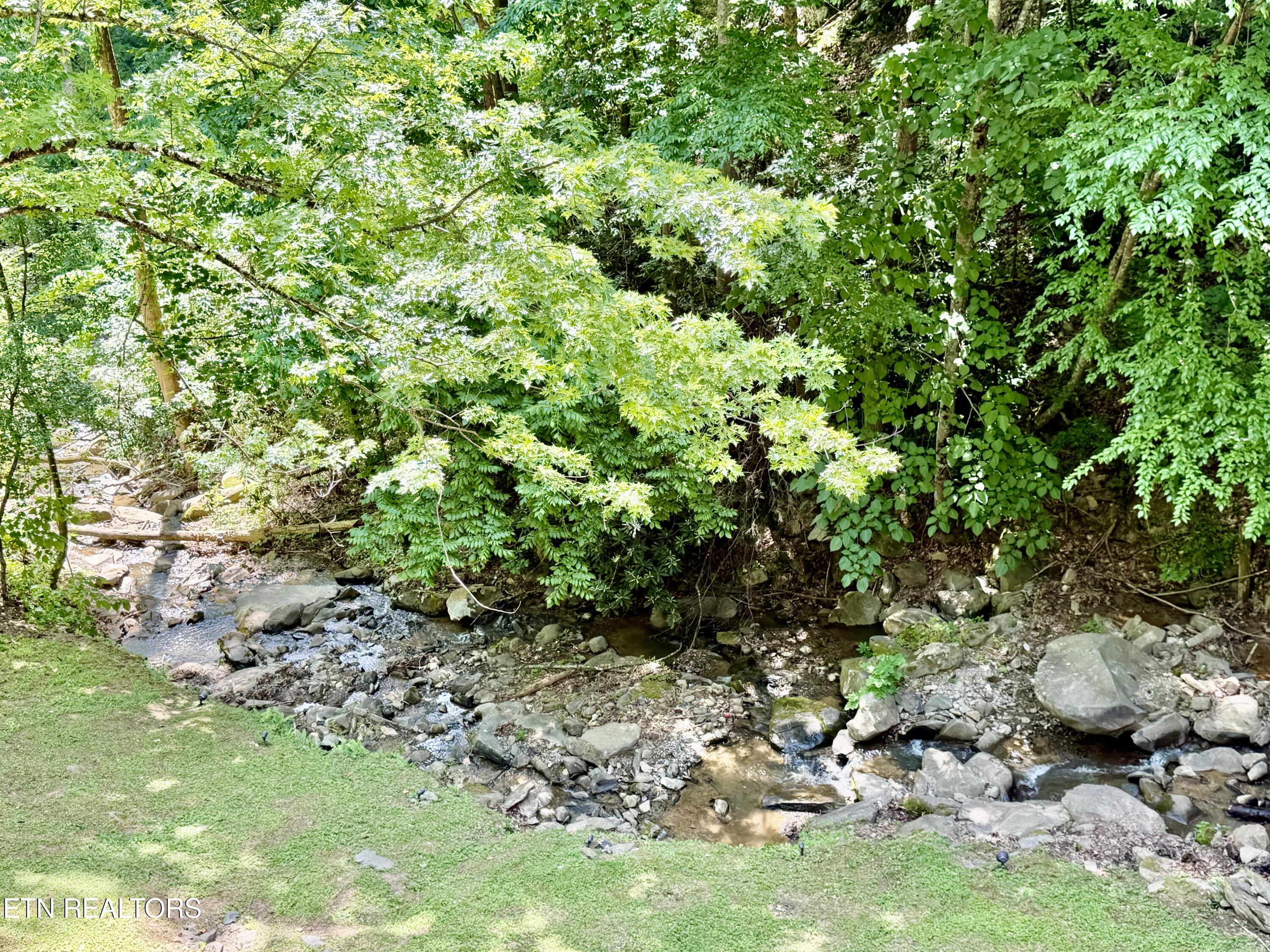 1435 Wiley Oakley Drive Gatlinburg TN 37738