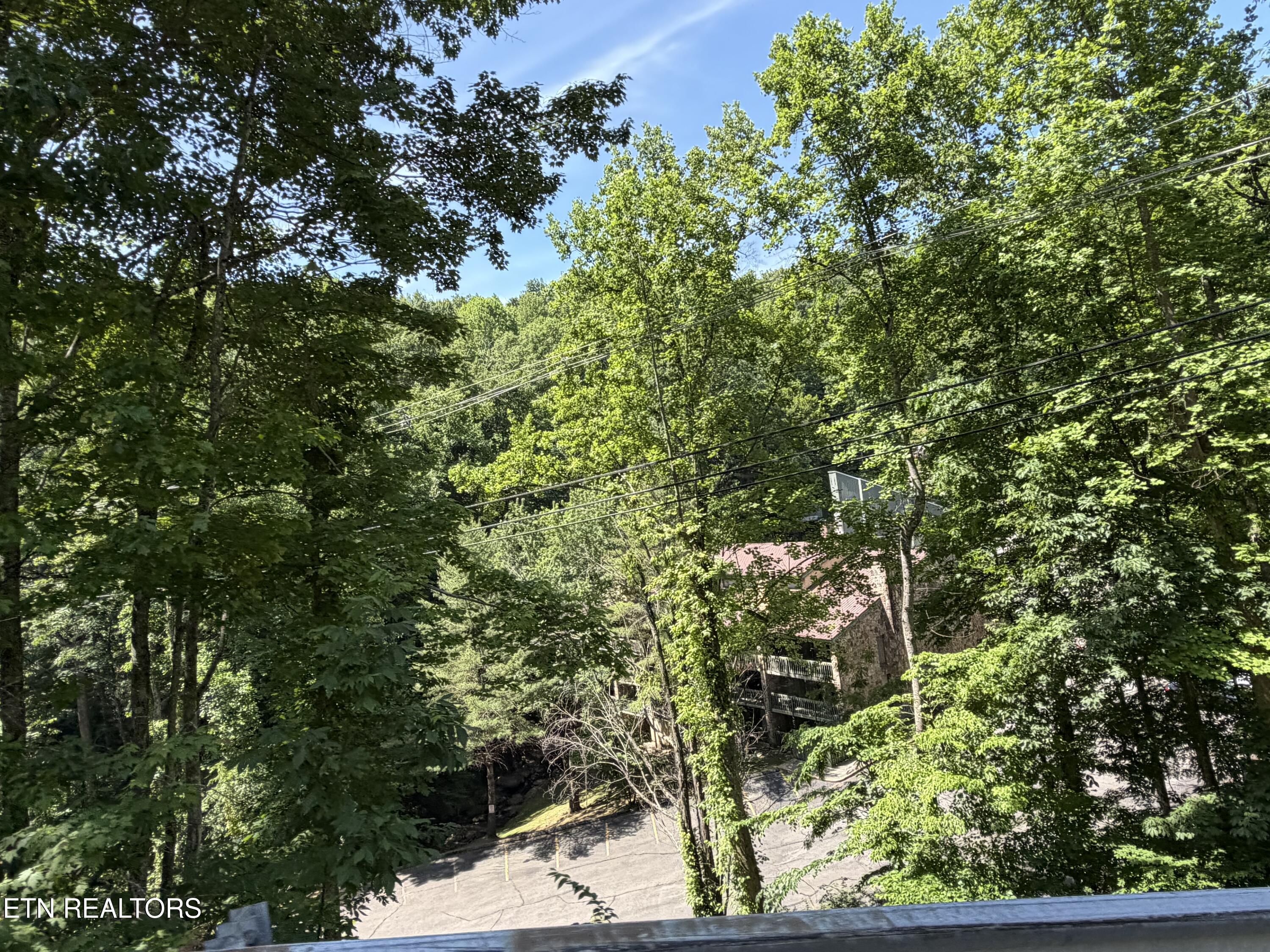 1435 Wiley Oakley Drive Gatlinburg TN 37738