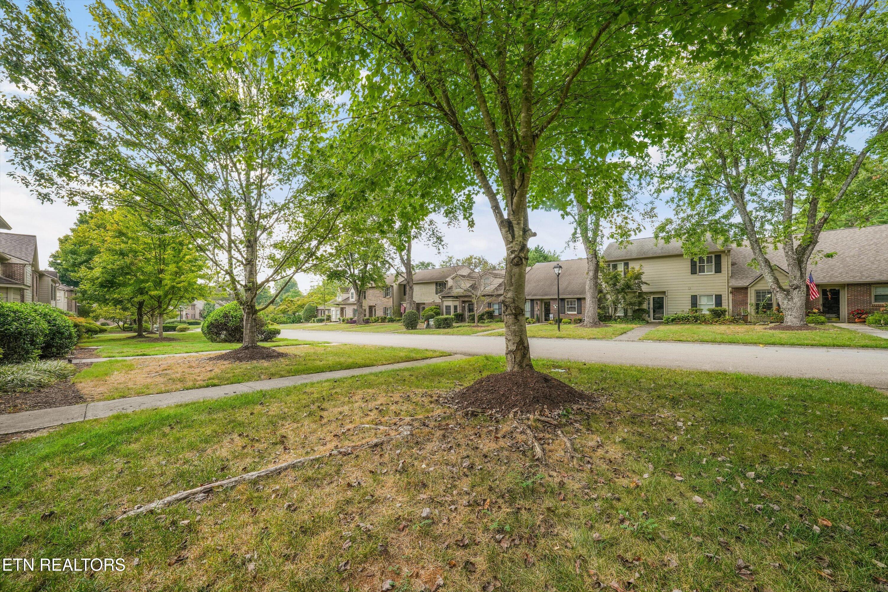 8732 Aragon Lane Knoxville TN 37923