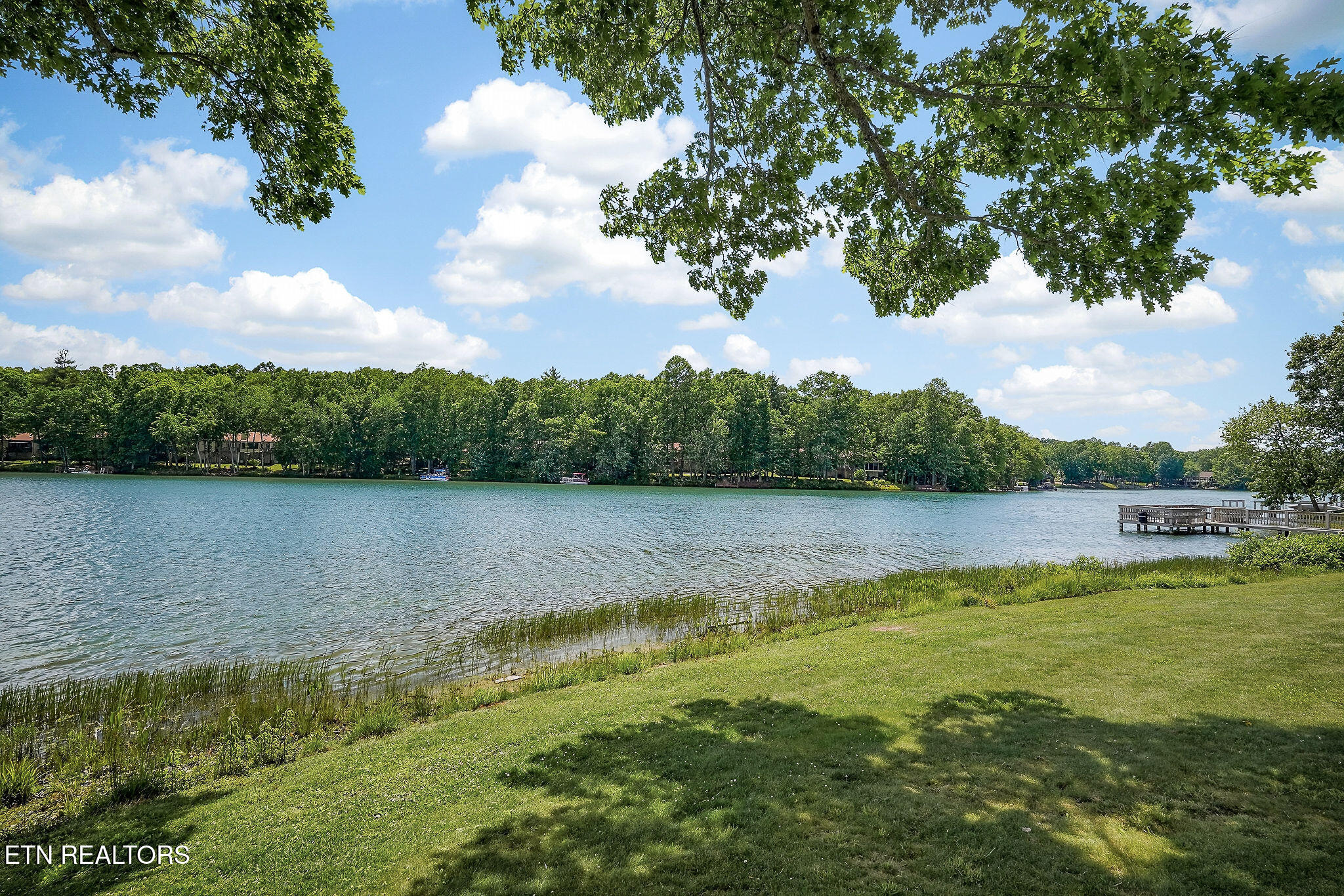 65 Lakeshore Terrace Crossville TN 38558