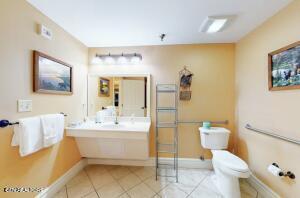 215 Woliss Lane Units 209, 312,510 Lane Gatlinburg TN 37738