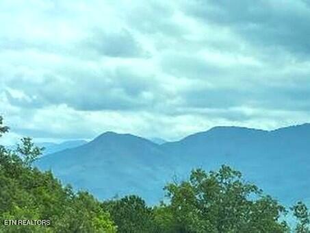 1130 Ski View Drive Gatlinburg TN 37738