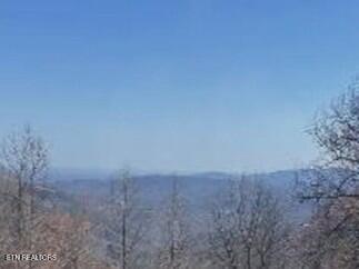 1130 Ski View Drive Gatlinburg TN 37738