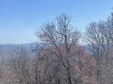 1130 Ski View Drive Gatlinburg TN 37738