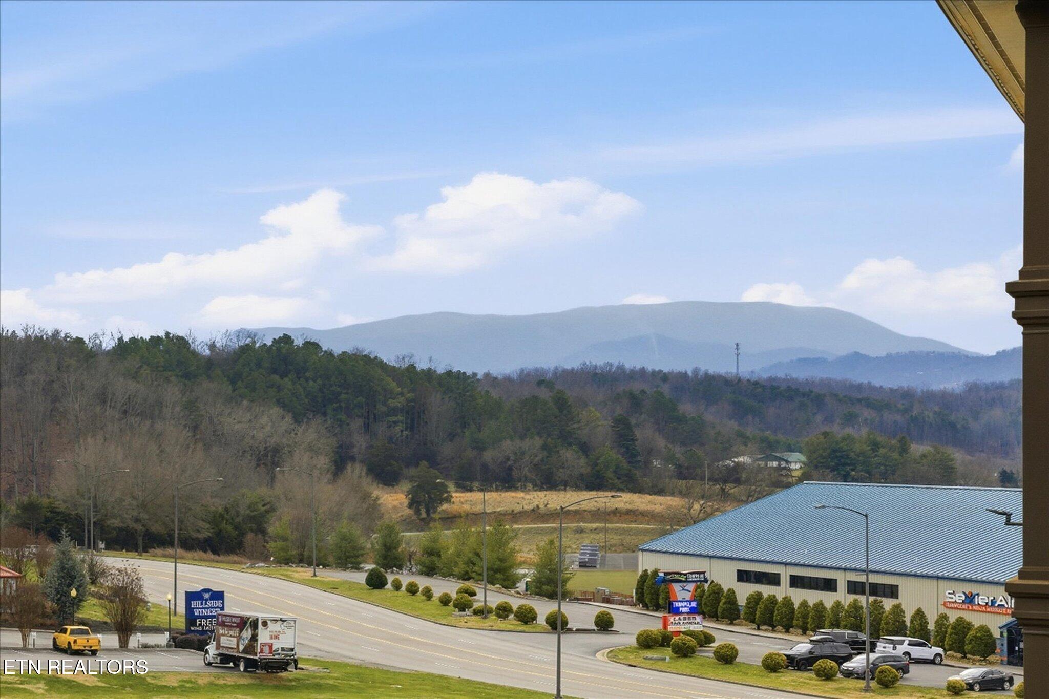 225 Collier Drive, Unit 2410 Sevierville TN 37862