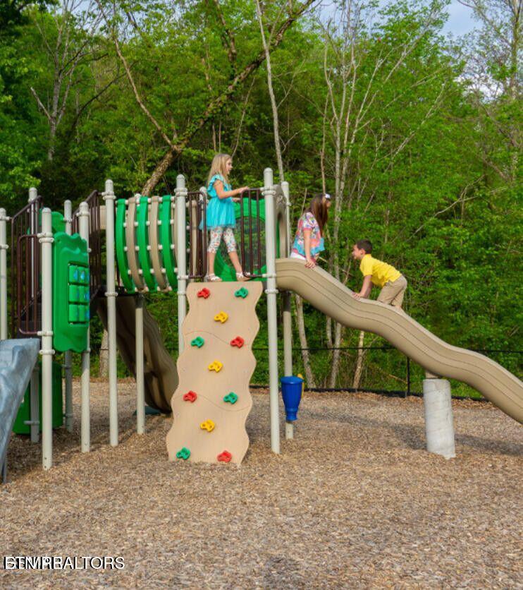 225 Collier Drive, Unit 2410 Sevierville TN 37862