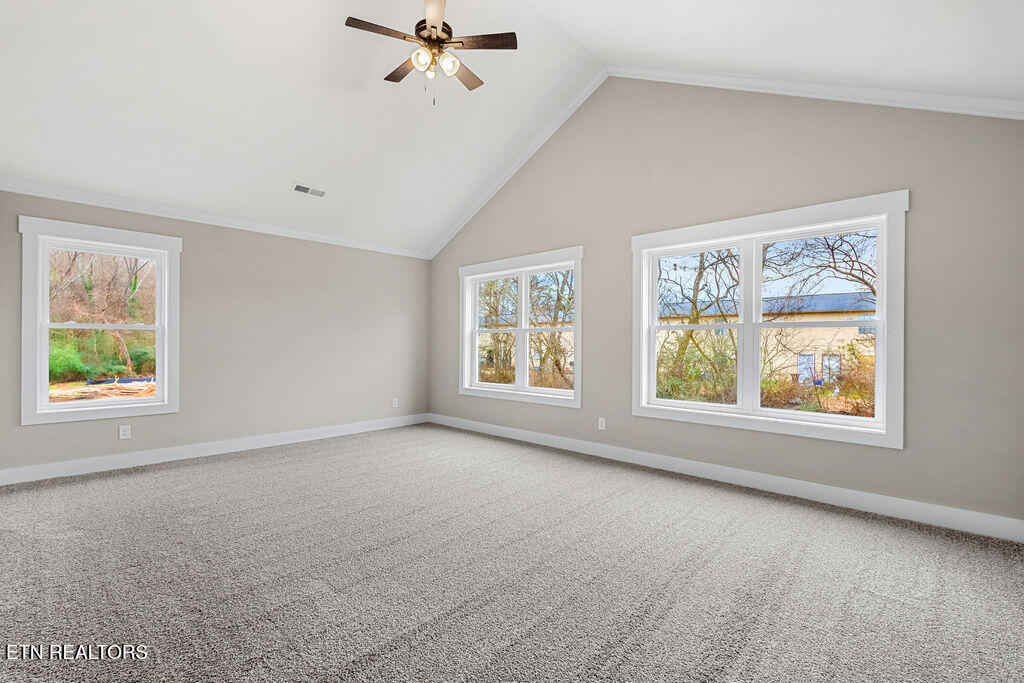 717 Haig Street Maryville TN 37801