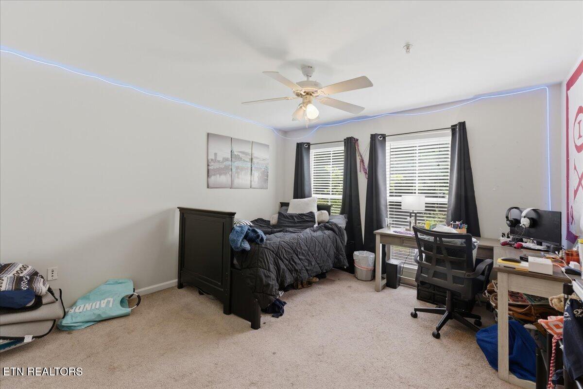1121 Tree Top Way Knoxville TN 37920