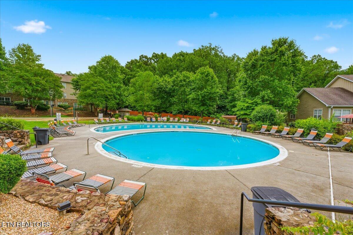 1121 Tree Top Way Knoxville TN 37920