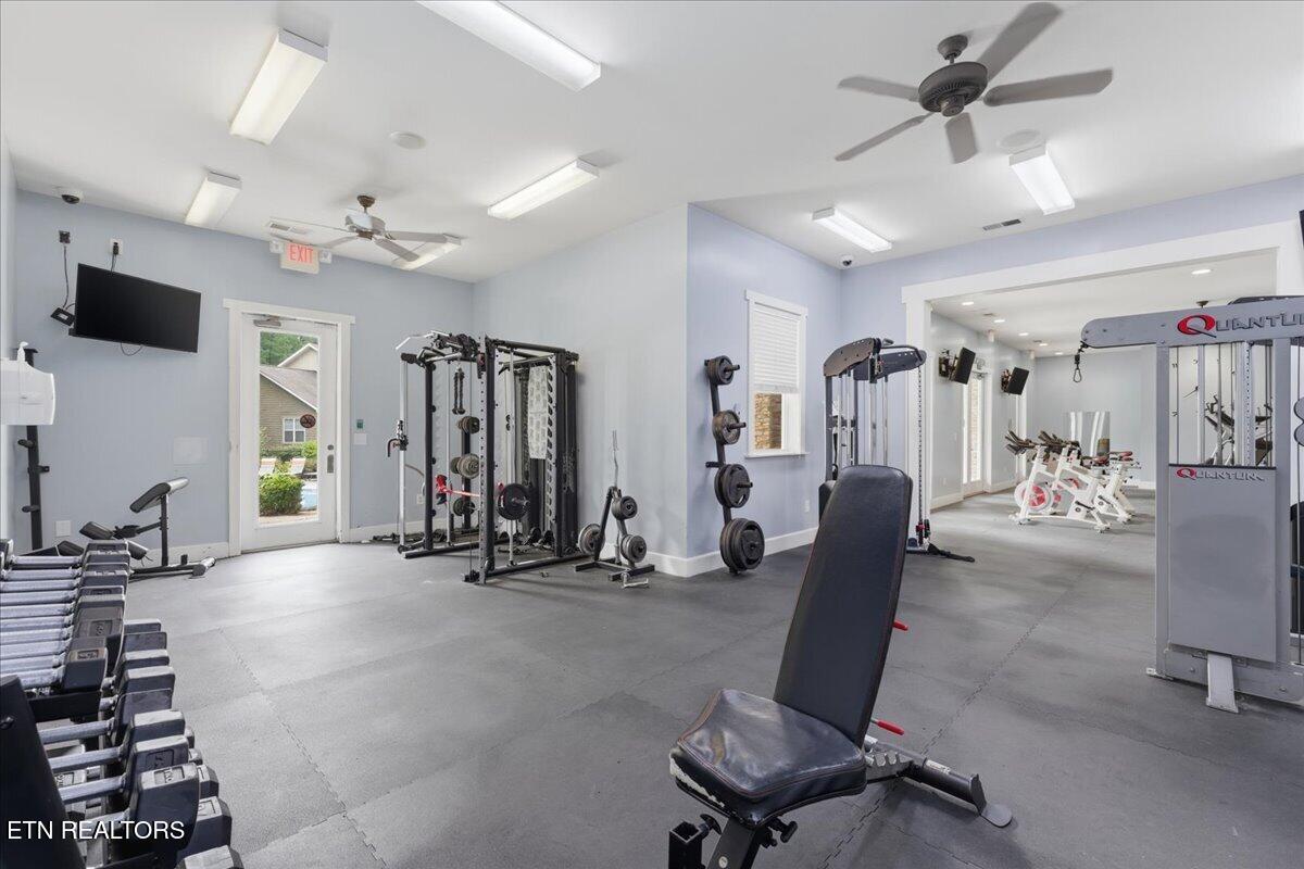 1121 Tree Top Way Knoxville TN 37920