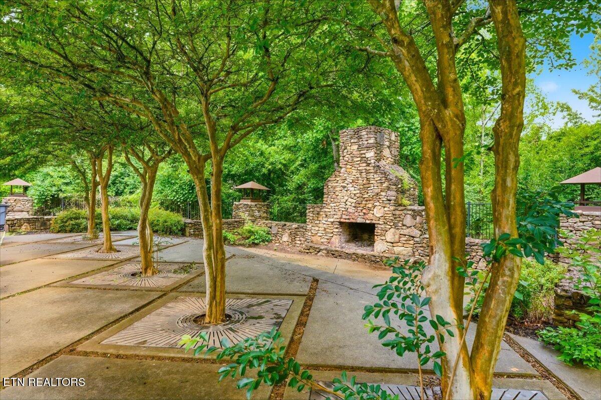 1121 Tree Top Way Knoxville TN 37920