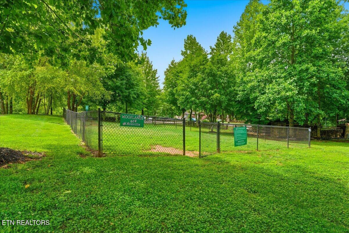 1121 Tree Top Way Knoxville TN 37920