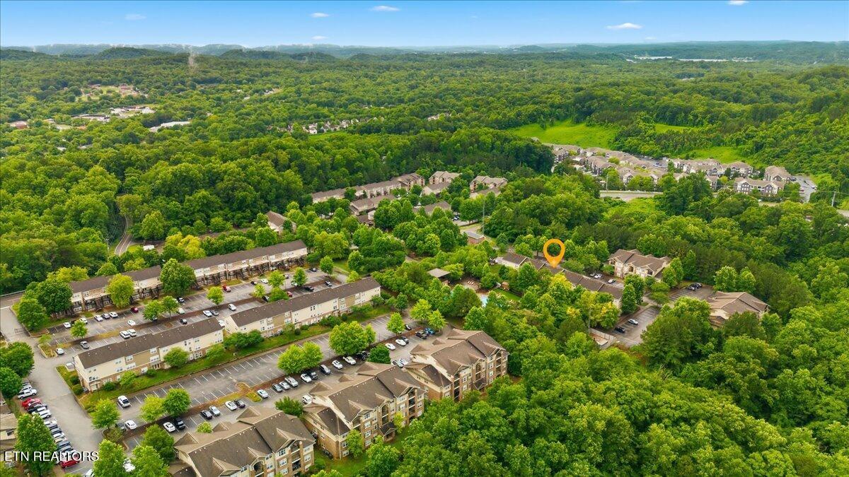 1121 Tree Top Way Knoxville TN 37920